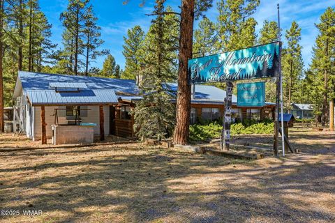 Tiny photo for 38742 State Route 373, Greer, AZ 85927 (MLS # 258513)
