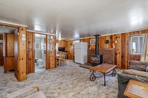 Tiny photo for 38742 State Route 373, Greer, AZ 85927 (MLS # 258513)