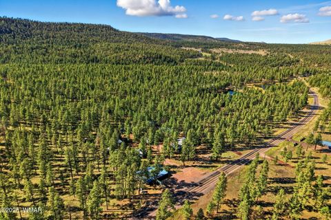 Tiny photo for 38742 State Route 373, Greer, AZ 85927 (MLS # 258513)