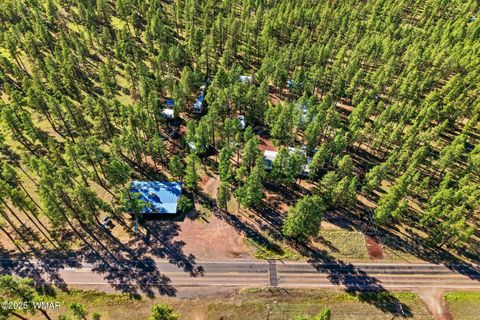 Tiny photo for 38742 State Route 373, Greer, AZ 85927 (MLS # 258513)