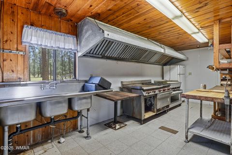 Tiny photo for 38742 State Route 373, Greer, AZ 85927 (MLS # 258513)