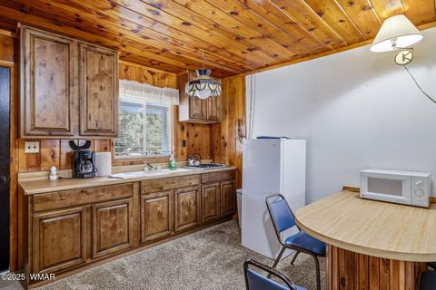 Tiny photo for 38742 State Route 373, Greer, AZ 85927 (MLS # 258513)