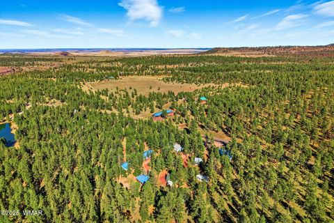 Tiny photo for 38742 State Route 373, Greer, AZ 85927 (MLS # 258513)
