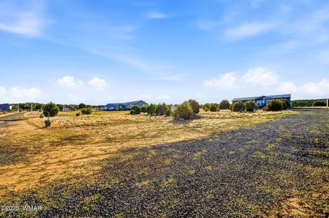 Tiny photo for 1872 Simpson Well Road, Show Low, AZ 85901 (MLS # 258676)