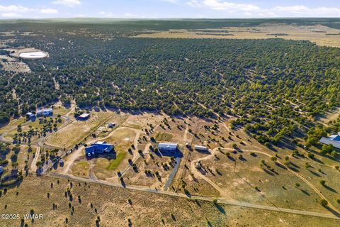 Tiny photo for 1872 Simpson Well Road, Show Low, AZ 85901 (MLS # 258676)