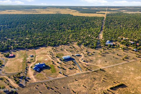 Tiny photo for 1872 Simpson Well Road, Show Low, AZ 85901 (MLS # 258676)