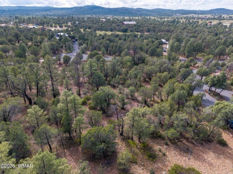 Photo of 893 Mountain Trail, Show Low, AZ 85901 (MLS # 263267)