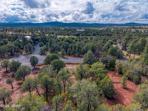 Tiny photo for 893 Mountain Trail, Show Low, AZ 85901 (MLS # 263267)