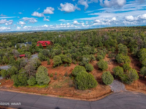 Tiny photo for 893 Mountain Trail, Show Low, AZ 85901 (MLS # 263267)