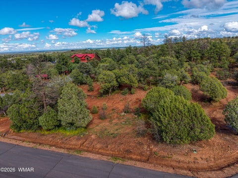 Tiny photo for 893 Mountain Trail, Show Low, AZ 85901 (MLS # 263267)