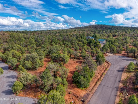 Tiny photo for 893 Mountain Trail, Show Low, AZ 85901 (MLS # 263267)