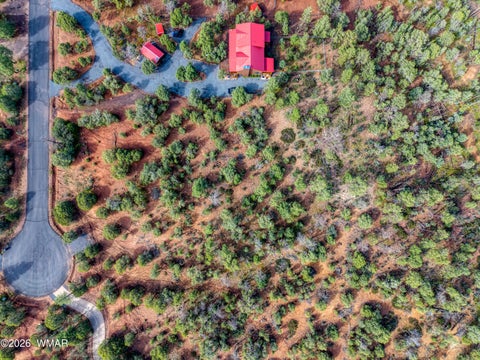 Tiny photo for 893 Mountain Trail, Show Low, AZ 85901 (MLS # 263267)
