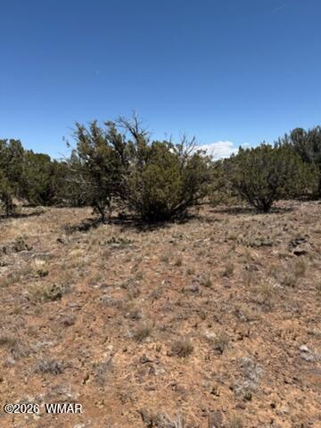 Tiny photo for 8476 Elkhorn Drive, Show Low, AZ 85901 (MLS # 261768)