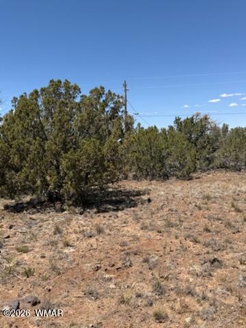 Tiny photo for 8476 Elkhorn Drive, Show Low, AZ 85901 (MLS # 261768)
