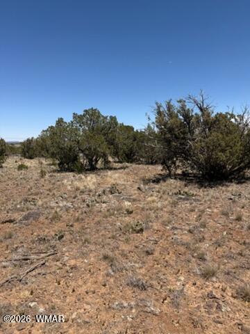 Tiny photo for 8476 Elkhorn Drive, Show Low, AZ 85901 (MLS # 261768)
