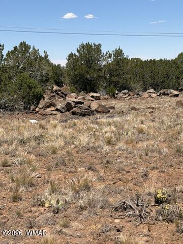 Tiny photo for 8476 Elkhorn Drive, Show Low, AZ 85901 (MLS # 261768)