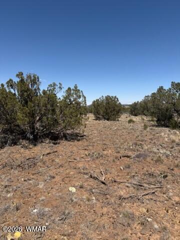 Tiny photo for 8476 Elkhorn Drive, Show Low, AZ 85901 (MLS # 261768)
