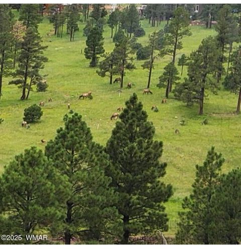 Tiny photo for Lot 32 The Ranch at Alpine, Alpine, AZ 85920 (MLS # 255990)