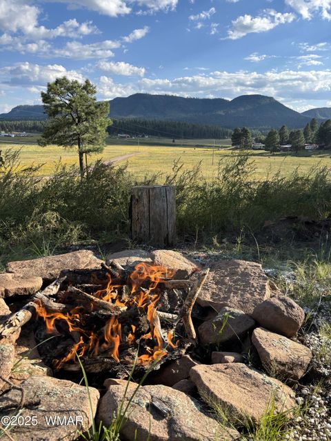 Tiny photo for Lot 32 The Ranch at Alpine, Alpine, AZ 85920 (MLS # 255990)