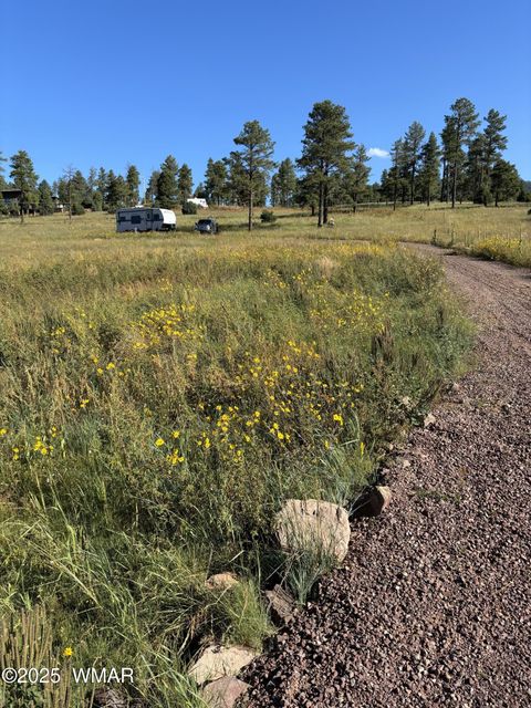 Tiny photo for Lot 32 The Ranch at Alpine, Alpine, AZ 85920 (MLS # 255990)