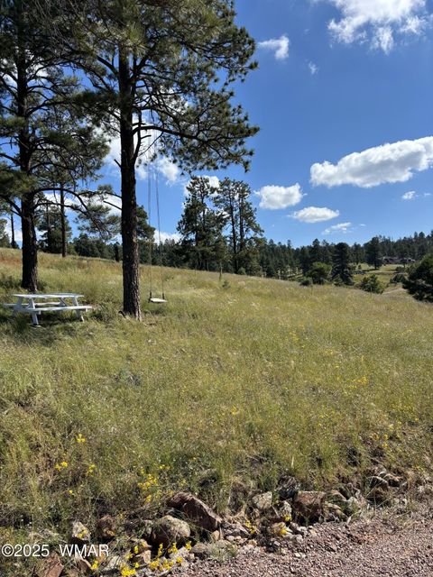 Tiny photo for Lot 32 The Ranch at Alpine, Alpine, AZ 85920 (MLS # 255990)