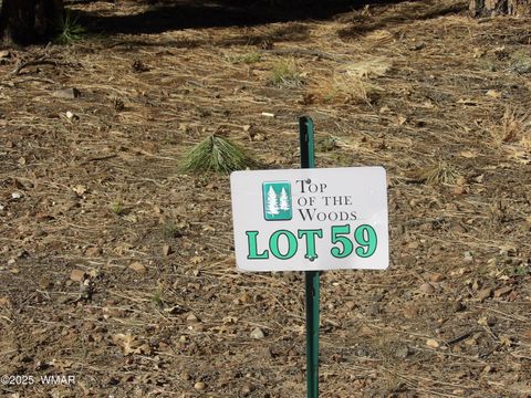 Photo of 2522 Aspen Run #59, Pinetop, AZ 85935 (MLS # 258615)