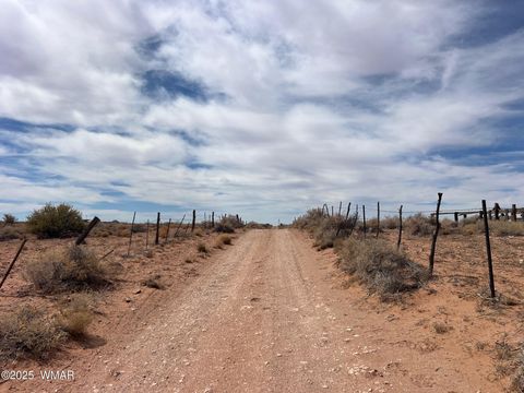 Tiny photo for Lot 31 Snowflake Farms, Snowflake, AZ 85937 (MLS # 255306)