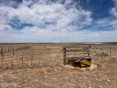 Tiny photo for Lot 31 Snowflake Farms, Snowflake, AZ 85937 (MLS # 255306)