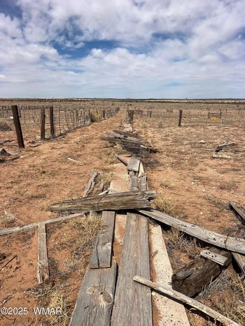 Tiny photo for Lot 31 Snowflake Farms, Snowflake, AZ 85937 (MLS # 255306)