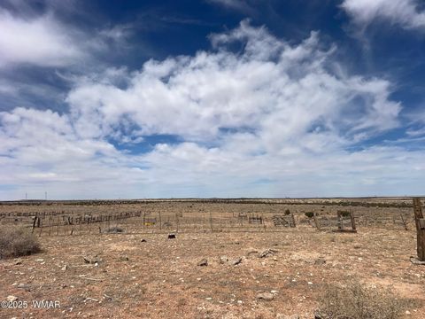 Tiny photo for Lot 31 Snowflake Farms, Snowflake, AZ 85937 (MLS # 255306)