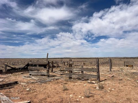 Tiny photo for Lot 31 Snowflake Farms, Snowflake, AZ 85937 (MLS # 255306)