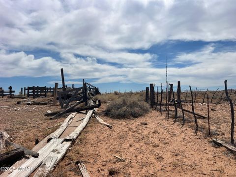 Tiny photo for Lot 31 Snowflake Farms, Snowflake, AZ 85937 (MLS # 255306)