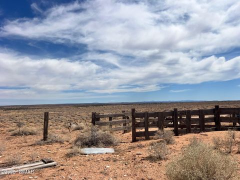 Tiny photo for Lot 31 Snowflake Farms, Snowflake, AZ 85937 (MLS # 255306)