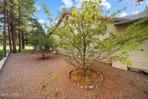 Tiny photo for 3231 W Old Linden Road, Show Low, AZ 85901 (MLS # 257436)