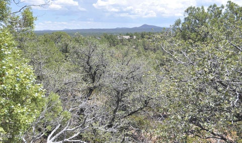Photo of 555 E Snowcap Court, Show Low, AZ 85901 (MLS # 262441)