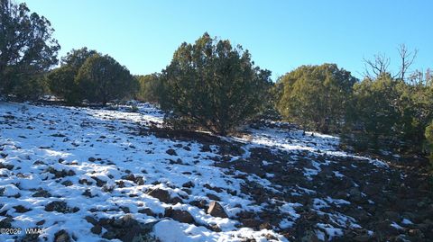 Tiny photo for TBD Concho 40ac, Concho, AZ 85924 (MLS # 259124)