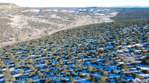 Tiny photo for TBD Concho 40ac, Concho, AZ 85924 (MLS # 259124)