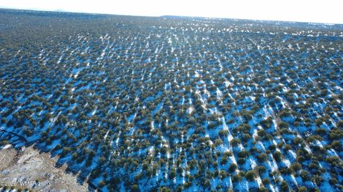 Tiny photo for TBD Concho 40ac, Concho, AZ 85924 (MLS # 259124)