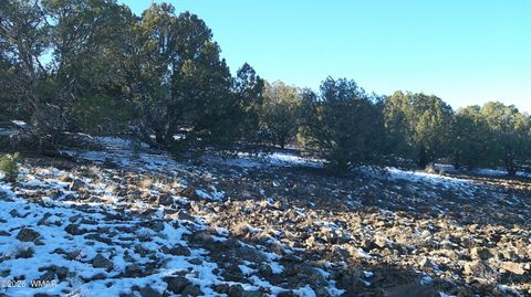 Tiny photo for TBD Concho 40ac, Concho, AZ 85924 (MLS # 259124)