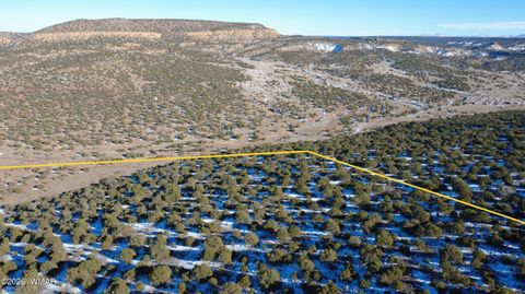 Tiny photo for TBD Concho 40ac, Concho, AZ 85924 (MLS # 259124)