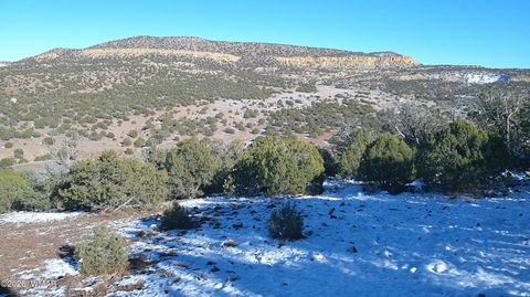 Photo of TBD Concho 40ac, Concho, AZ 85924 (MLS # 259124)