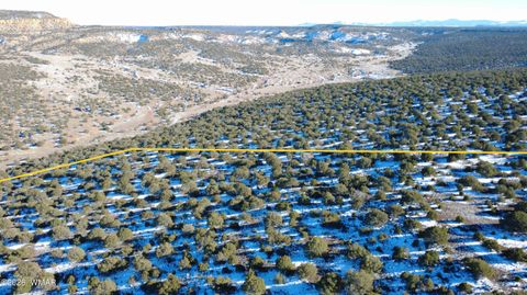 Tiny photo for TBD Concho 40ac, Concho, AZ 85924 (MLS # 259124)