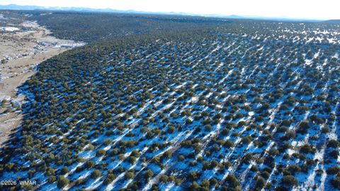 Tiny photo for TBD Concho 40ac, Concho, AZ 85924 (MLS # 259124)