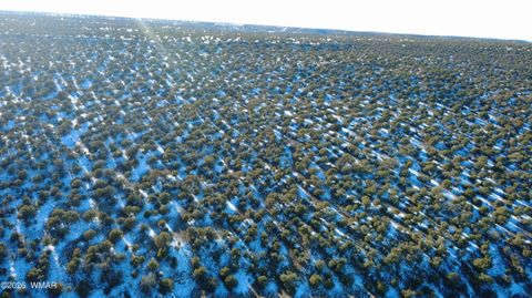 Tiny photo for TBD Concho 40ac, Concho, AZ 85924 (MLS # 259124)