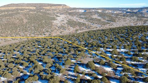 Tiny photo for TBD Concho 40ac, Concho, AZ 85924 (MLS # 259124)