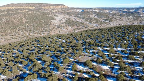 Tiny photo for TBD Concho 40ac, Concho, AZ 85924 (MLS # 259124)