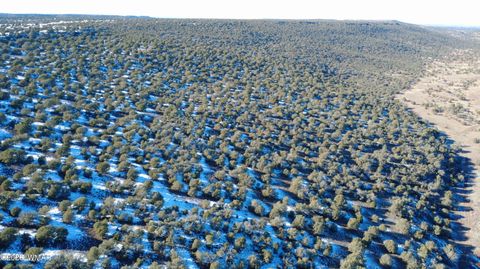 Tiny photo for TBD Concho 40ac, Concho, AZ 85924 (MLS # 259124)