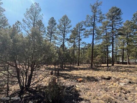 Tiny photo for 4790 W Hawthorn Road, Show Low, AZ 85901 (MLS # 260936)