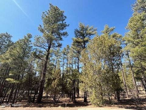 Photo of 4790 W Hawthorn Road, Show Low, AZ 85901 (MLS # 260936)