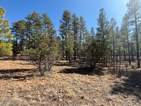 Tiny photo for 4790 W Hawthorn Road, Show Low, AZ 85901 (MLS # 260936)